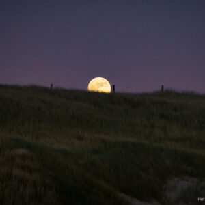 Moon and Dune