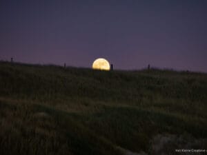 Moon and Dune