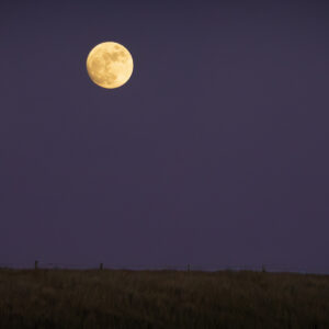 Moon high over dune