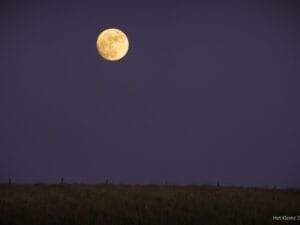 Moon high over dune